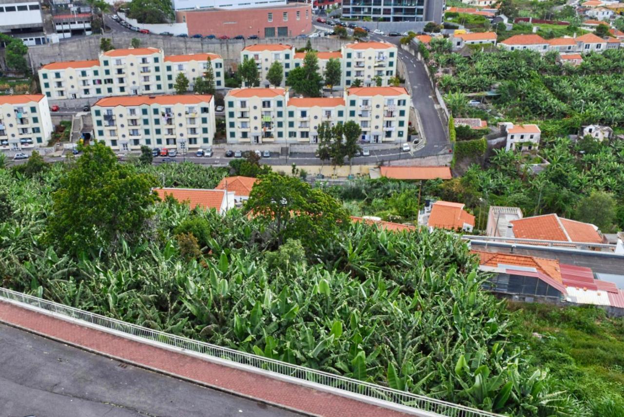 Design Gardens, A Home In Madeira Фуншал Екстериор снимка